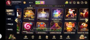 Rumi Slots 1